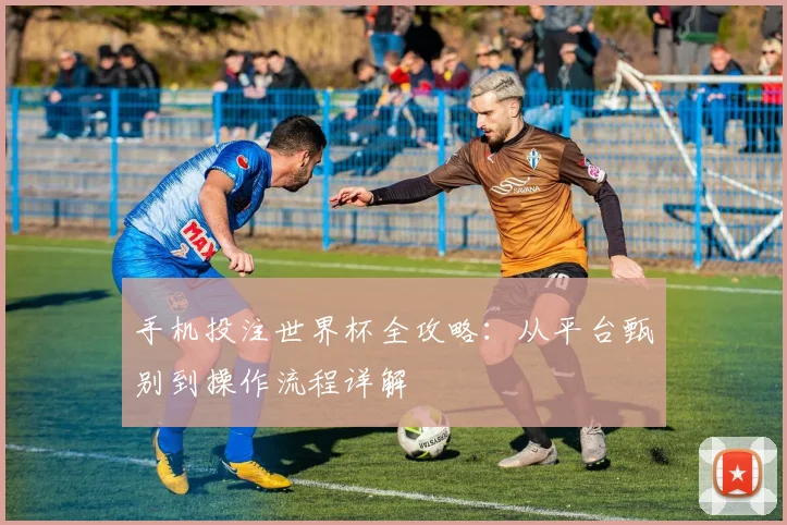 手机投注世界杯全攻略：从平台甄别到操作流程详解