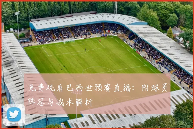 免费观看巴西世预赛直播：附球员阵容与战术解析